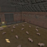 Pigsty3