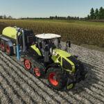 True AI Tracks