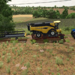Agricultural Flatbed Trailer 10M3