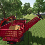 Amity BeetCart2