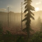 Back Country5