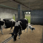 Barn With Cowshed6