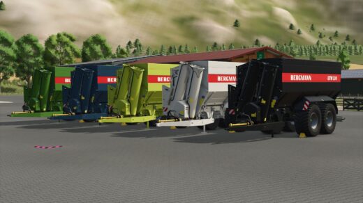 Bergmann GTW330