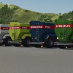 Bergmann GTW3306