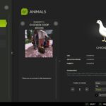 Chicken coop5