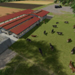 Cow Barn Dairy Production3