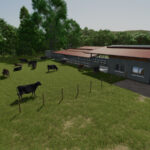 Cow Barn Dairy Production4