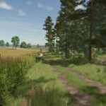 Cybuchowo6