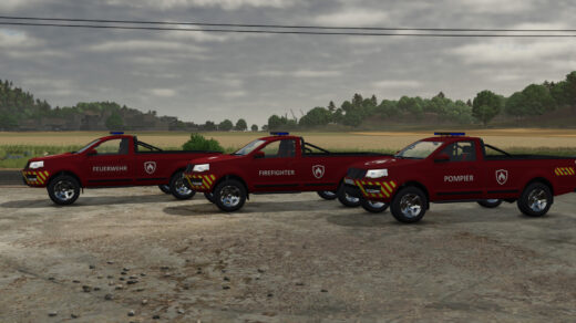 Emergency Service