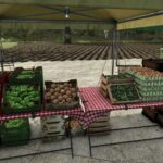 Farm Market3