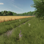Foliage Pack Prefab (Prefab*)