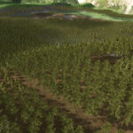 Forest Challenge3