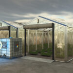 Greenhouses For Root Crops2