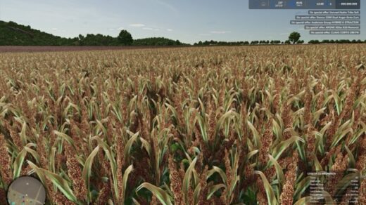 Judith Plains, Montana 4x Multifruit And Productions Edit
