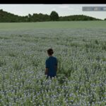 Judith Plains, Montana 4x Multifruit And Productions Edit
