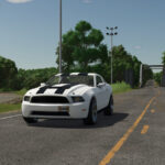 LIZARD Road Rage