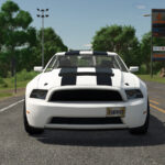 LIZARD Road Rage3