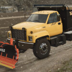 Lizard C 75003