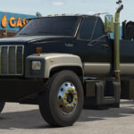 Lizard C 75004