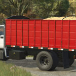 Lizard C 75005
