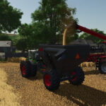Lizard CG Granel Pack3