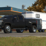 Lizard Silver 35003