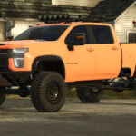 Lizard Silver 35004
