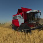 Massey Ferguson 72783