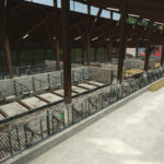 Medium Sized Cow Barn4