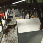 Medium Sized Cow Barn5