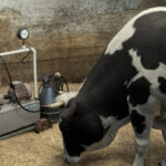 Milking Machine8