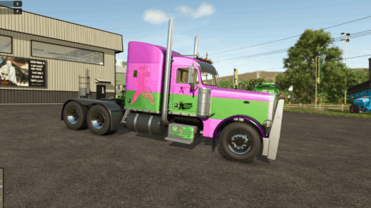 Peter Built 379