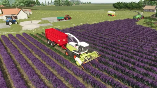Ponzo Lavender Header v1.0