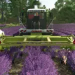 Ponzo Lavender Header v1.03
