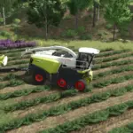 Ponzo Lavender Header v1.04