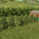 Raspberry Productions