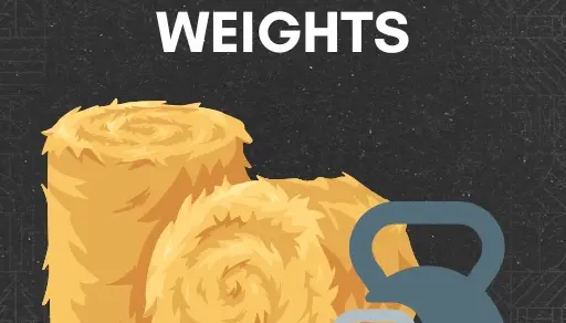 Realistic Bale Physics v1.0