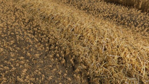 Realistic straw texture