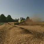 Straw Texture