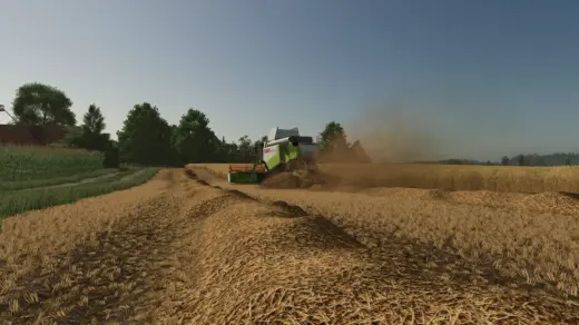 Straw Texture