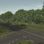 The Netherlands5