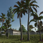 Tree Deco Pack2