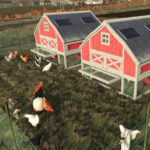 Chicken Coop Pack3