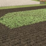 Cover crop seeder4
