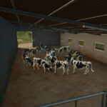 Cow Barn3