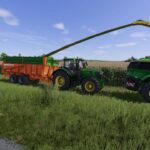 Dangreville BB18T