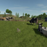 Hagenstedt Husbandries3