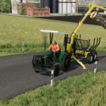Lizard 41003