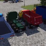 Lizard 65032