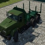 Lizard 650326
